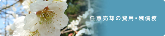 任意売却の費用・残債務